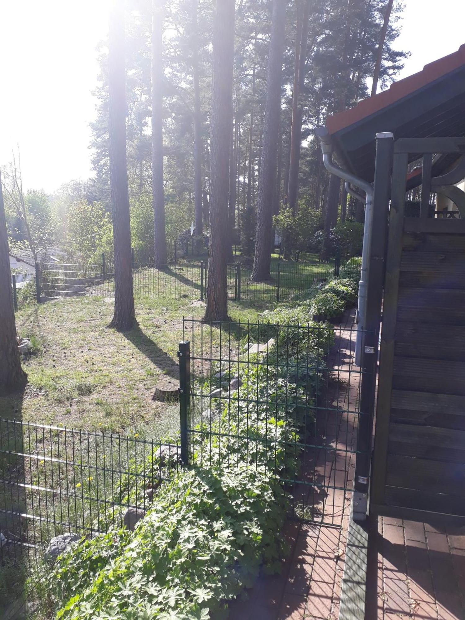 Ferienhaus Waldschneise B Am Jabeler See Luaran gambar